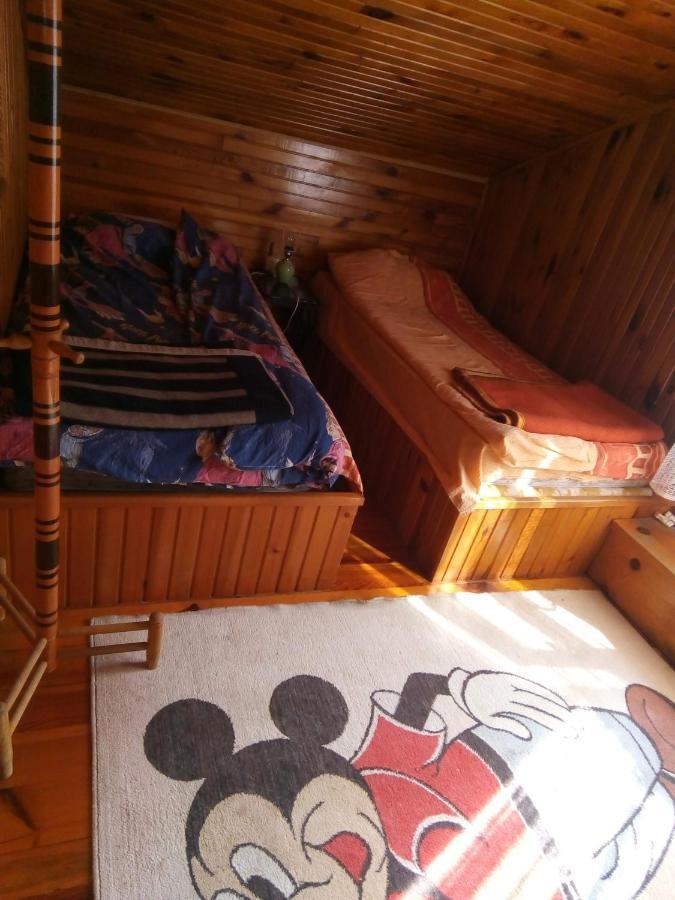 Takovo - Odmor U Selu Villa Gornji Milanovac Exteriör bild