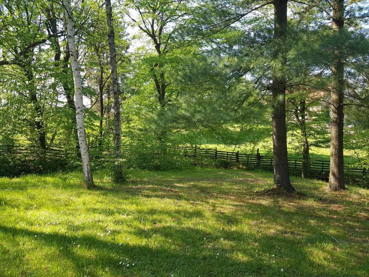 Takovo - Odmor U Selu Villa Gornji Milanovac Exteriör bild