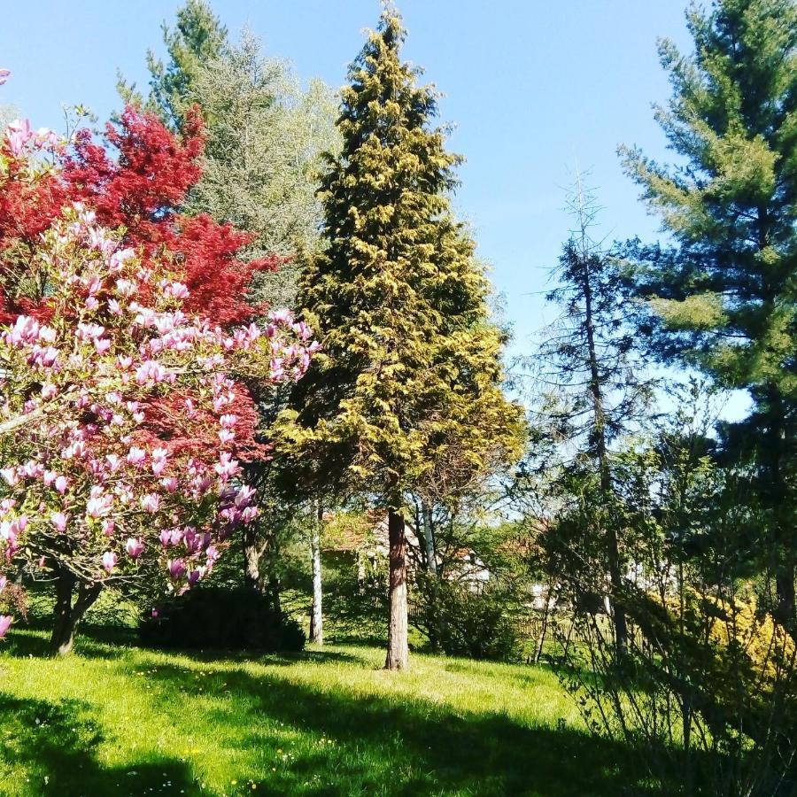 Takovo - Odmor U Selu Villa Gornji Milanovac Exteriör bild