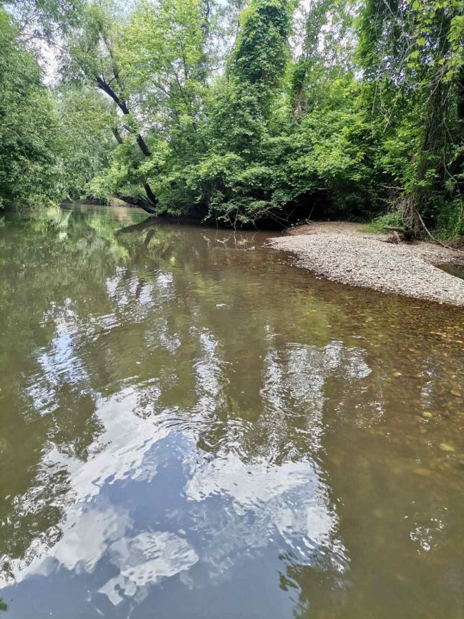 Takovo - Odmor U Selu Villa Gornji Milanovac Exteriör bild