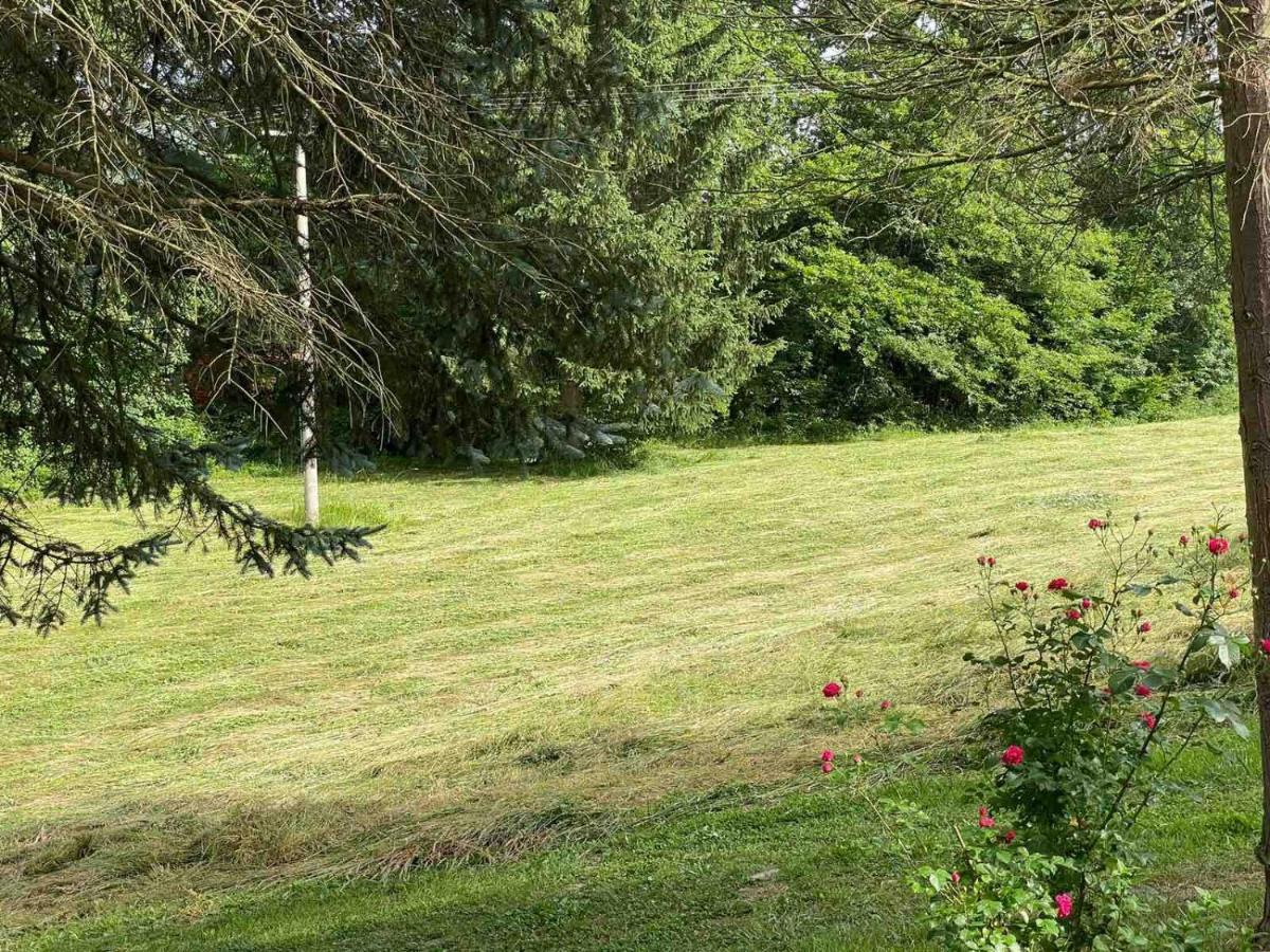 Takovo - Odmor U Selu Villa Gornji Milanovac Exteriör bild