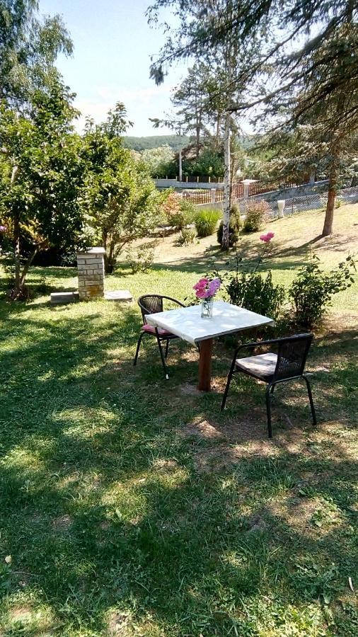 Takovo - Odmor U Selu Villa Gornji Milanovac Exteriör bild