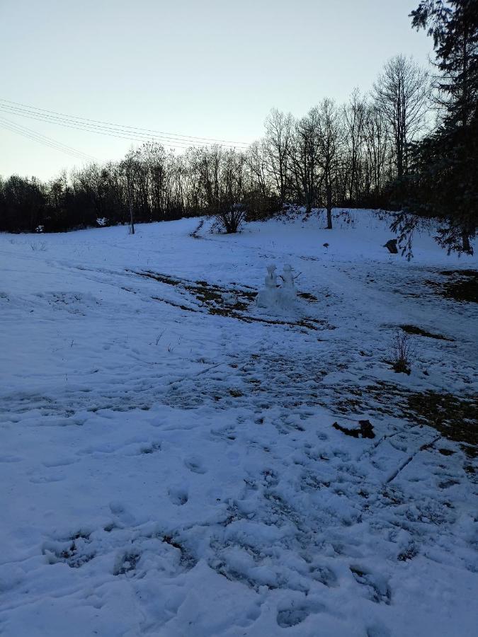 Takovo - Odmor U Selu Villa Gornji Milanovac Exteriör bild