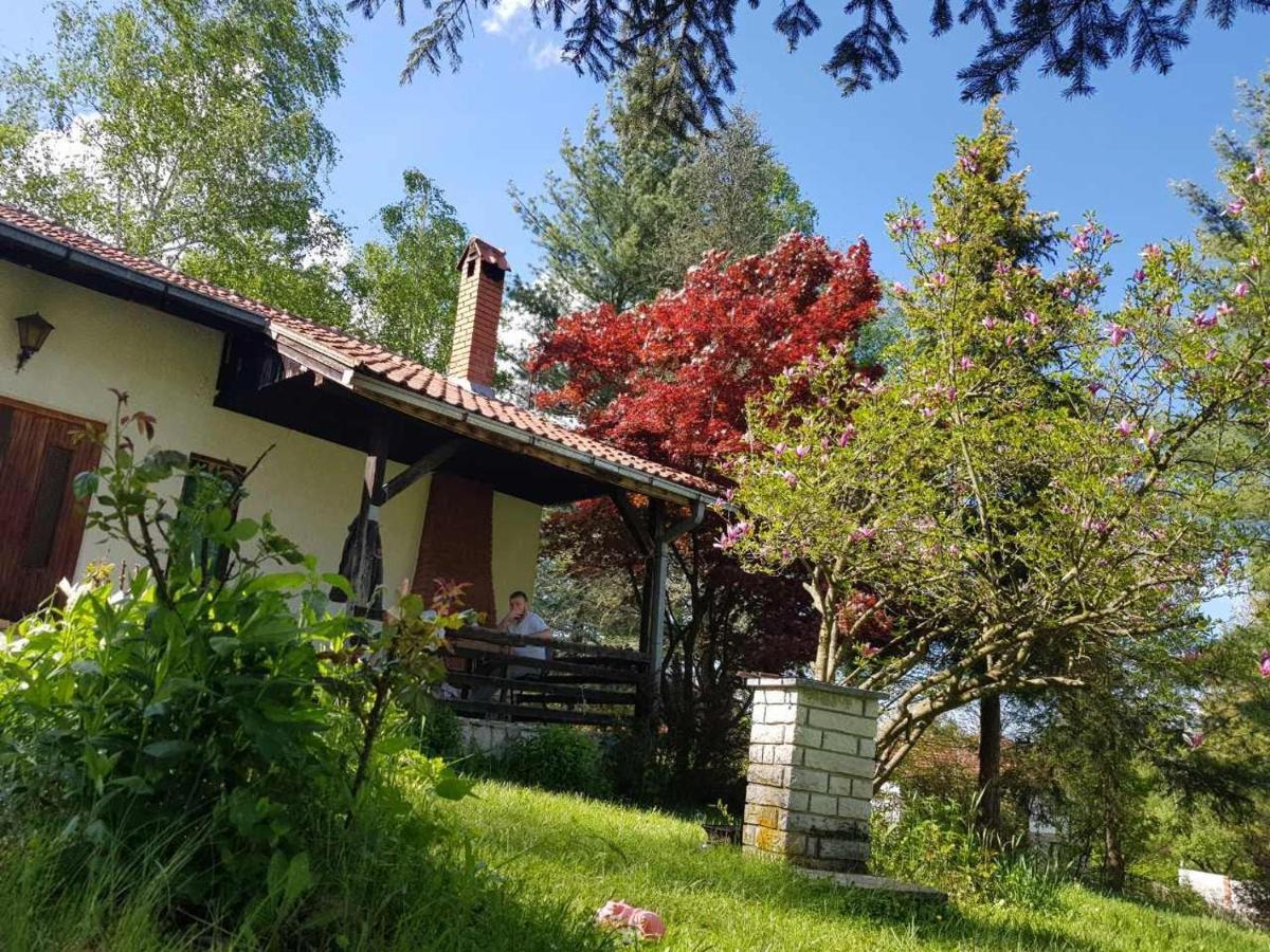 Takovo - Odmor U Selu Villa Gornji Milanovac Exteriör bild