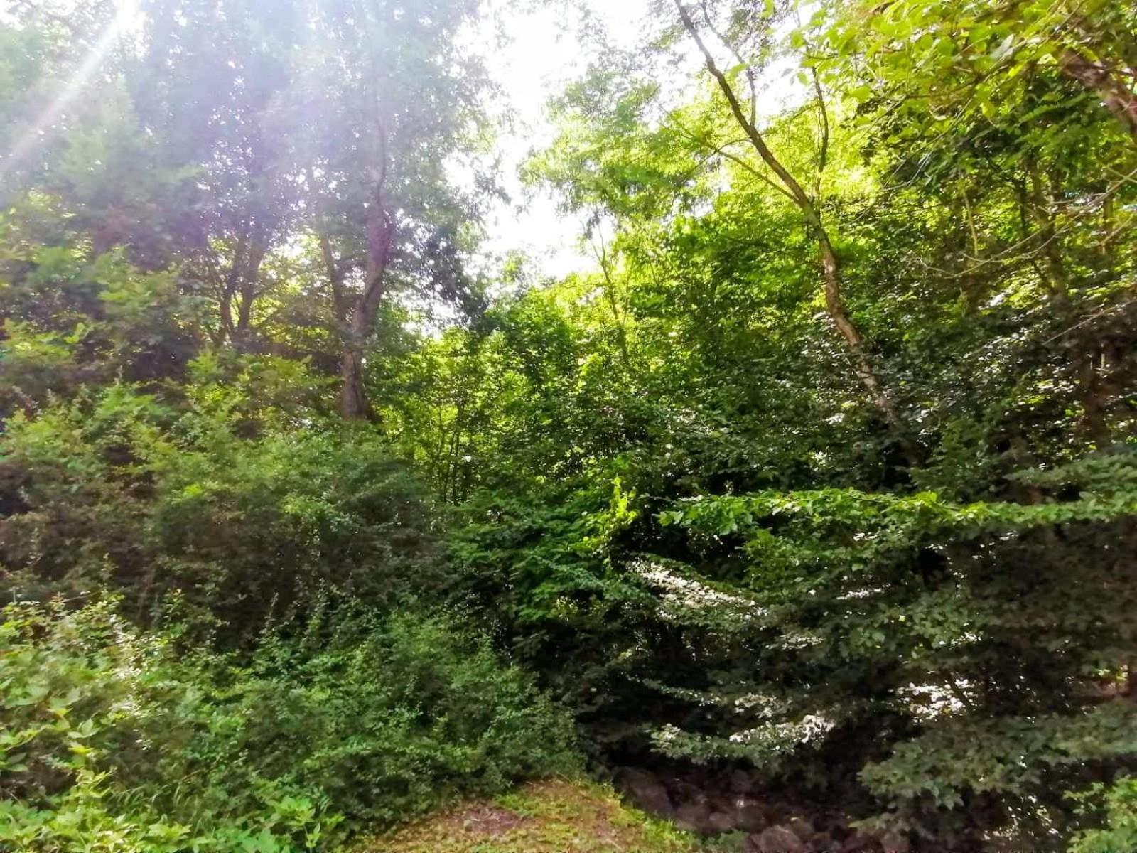 Takovo - Odmor U Selu Villa Gornji Milanovac Exteriör bild